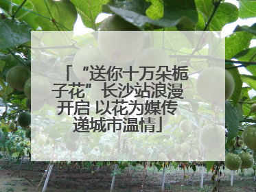 “送你十万朵栀子花”长沙站浪漫开启 以花为媒传递城市温情