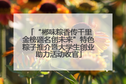 “郴味粽香传千里 金榜题名创未来”特色粽子推介暨大学生创业助力活动收官