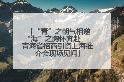 “青”之朝气相邀 “海”之胸怀奔赴——青海省招商引资上海推介会现场见闻