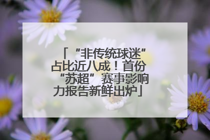 “非传统球迷”占比近八成！首份“苏超”赛事影响力报告新鲜出炉