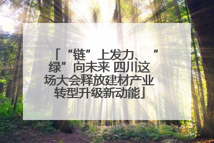 “链”上发力、“绿”向未来 四川这场大会释放建材产业转型升级新动能