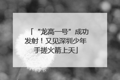 “龙高一号”成功发射！又见深圳少年手搓火箭上天