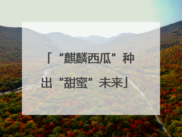 “麒麟西瓜”种出“甜蜜”未来
