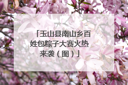 玉山县南山乡百姓包粽子大赛火热来袭（图）