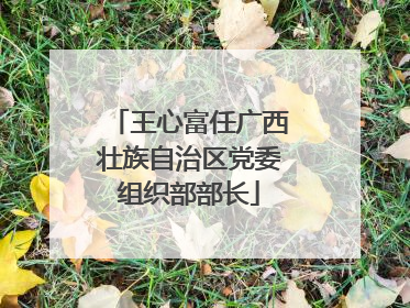 王心富任广西壮族自治区党委组织部部长