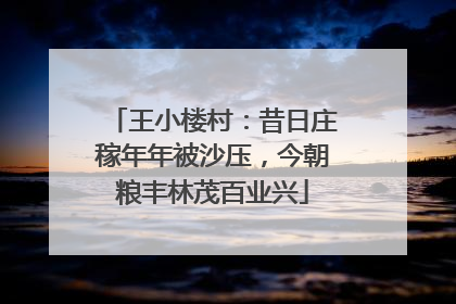 王小楼村:昔日庄稼年年被沙压,今朝粮丰林茂百业兴