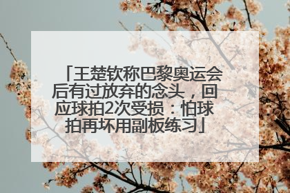 王楚钦称巴黎奥运会后有过放弃的念头，回应球拍2次受损：怕球拍再坏用副板练习