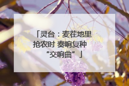 灵台：麦茬地里抢农时 奏响复种“交响曲”
