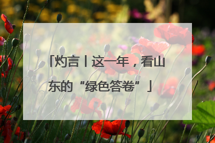灼言丨这一年，看山东的“绿色答卷”