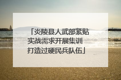 炎陵县人武部紧贴实战需求开展集训 打造过硬民兵队伍