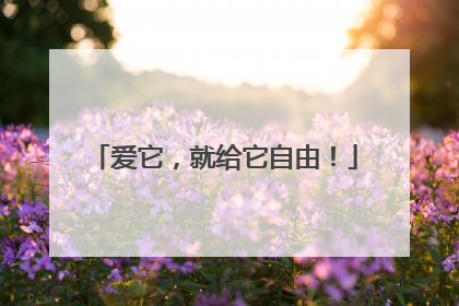 爱它，就给它自由！