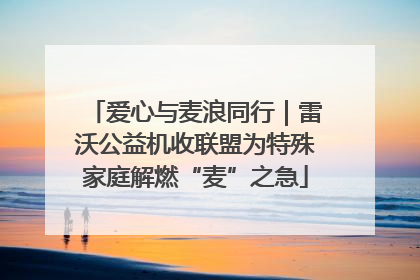 爱心与麦浪同行｜雷沃公益机收联盟为特殊家庭解燃“麦”之急
