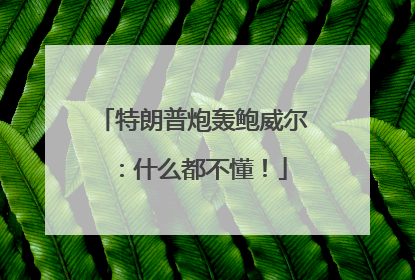 特朗普炮轰鲍威尔：什么都不懂！