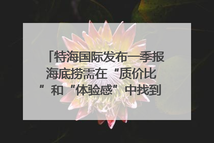特海国际发布一季报 海底捞需在“质价比”和“体验感”中找到平衡｜新经济观察