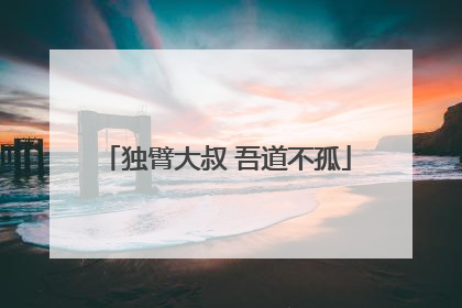 独臂大叔 吾道不孤