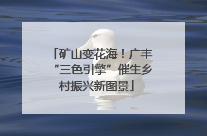 矿山变花海！广丰“三色引擎”催生乡村振兴新图景