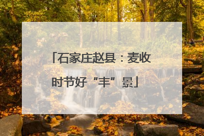 石家庄赵县：麦收时节好“丰”景