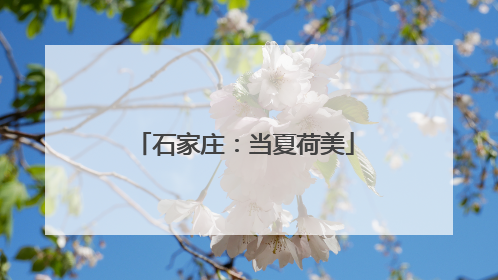 石家庄：当夏荷美
