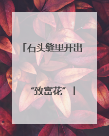 石头缝里开出“致富花”