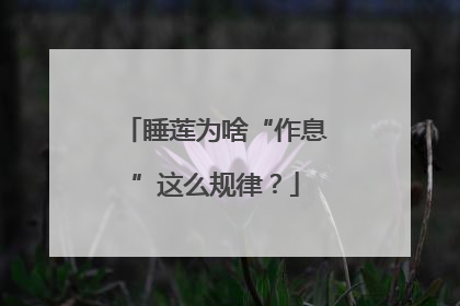 睡莲为啥“作息”这么规律？