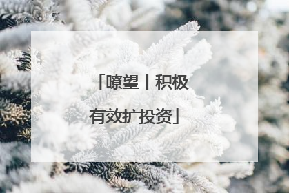 瞭望丨积极有效扩投资
