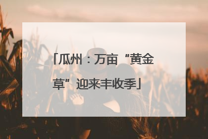 瓜州：万亩“黄金草”迎来丰收季