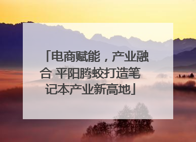 电商赋能,产业融合 平阳腾蛟打造笔记本产业新高地