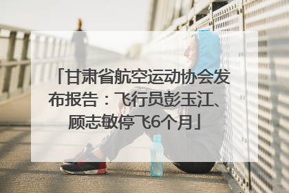 甘肃省航空运动协会发布报告：飞行员彭玉江、顾志敏停飞6个月