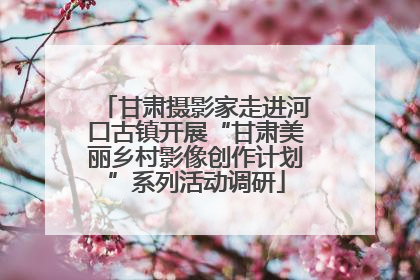甘肃摄影家走进河口古镇开展“甘肃美丽乡村影像创作计划”系列活动调研