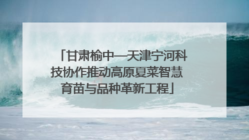 甘肃榆中—天津宁河科技协作推动高原夏菜智慧育苗与品种革新工程