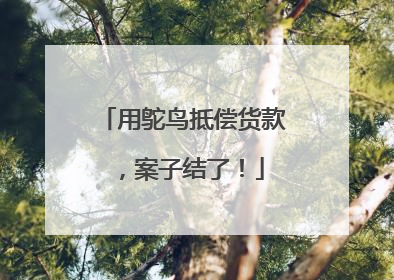 用鸵鸟抵偿货款，案子结了！