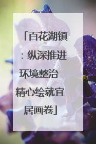 百花湖镇：纵深推进环境整治 精心绘就宜居画卷