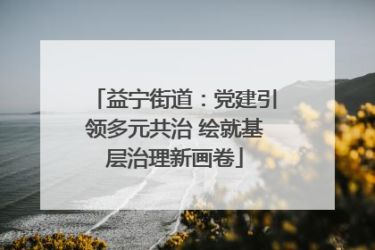 益宁街道：党建引领多元共治 绘就基层治理新画卷
