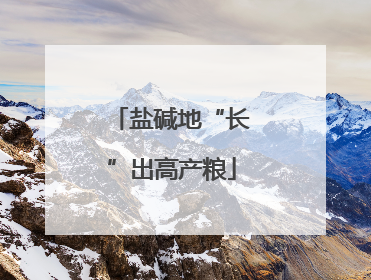 盐碱地“长”出高产粮