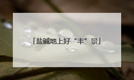 盐碱地上好“丰”景