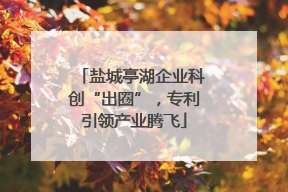 盐城亭湖企业科创“出圈”，专利引领产业腾飞