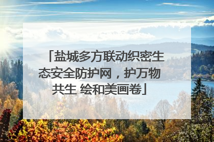 盐城多方联动织密生态安全防护网，护万物共生 绘和美画卷