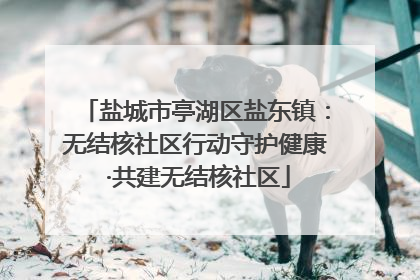 盐城市亭湖区盐东镇：无结核社区行动守护健康 ·共建无结核社区