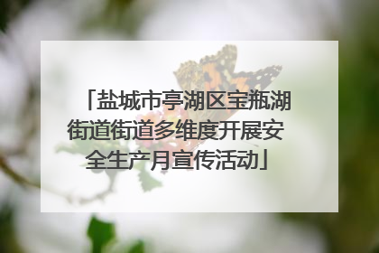 盐城市亭湖区宝瓶湖街道街道多维度开展安全生产月宣传活动