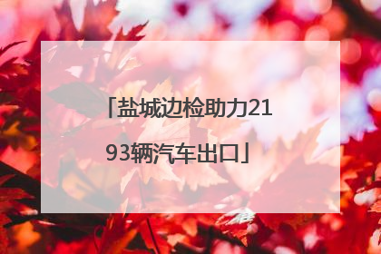 盐城边检助力2193辆汽车出口