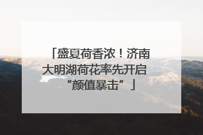 盛夏荷香浓！济南大明湖荷花率先开启“颜值暴击”