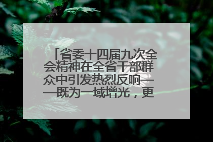 省委十四届九次全会精神在全省干部群众中引发热烈反响——既为一域增光，更为全局添彩