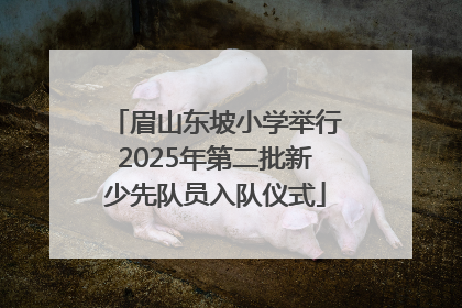 眉山东坡小学举行2025年第二批新少先队员入队仪式