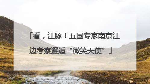 看，江豚！五国专家南京江边考察邂逅“微笑天使”