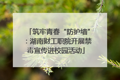 筑牢青春“防护墙”：湖南财工职院开展禁毒宣传进校园活动