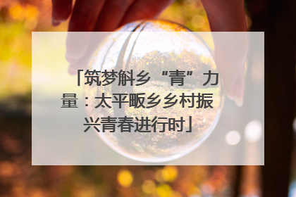 筑梦斛乡“青”力量：太平畈乡乡村振兴青春进行时