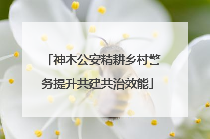 神木公安精耕乡村警务提升共建共治效能