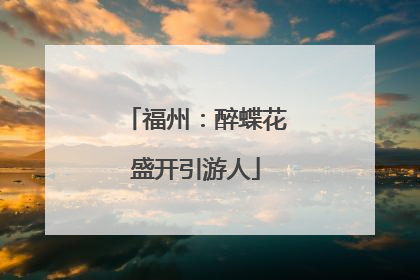 福州：醉蝶花盛开引游人