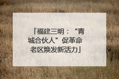 福建三明：“青城合伙人”促革命老区焕发新活力