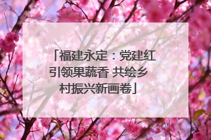 福建永定：党建红引领果蔬香 共绘乡村振兴新画卷